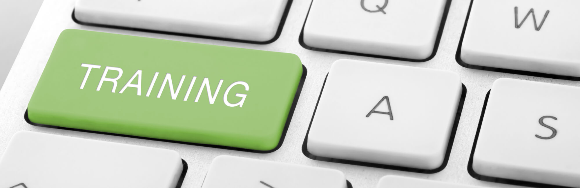 Immersive Internship Programme